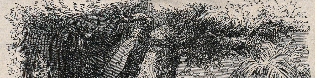 Cover Image for Книжка для ванили